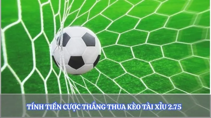 Tính tiền cược thắng thua kèo tài xỉu 2.75  